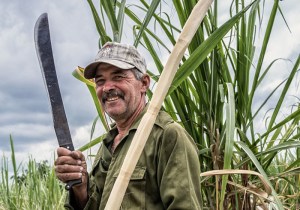 Foto: Nicole Franken