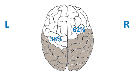 hersenen%20resultaten%20-%2038%25%20links