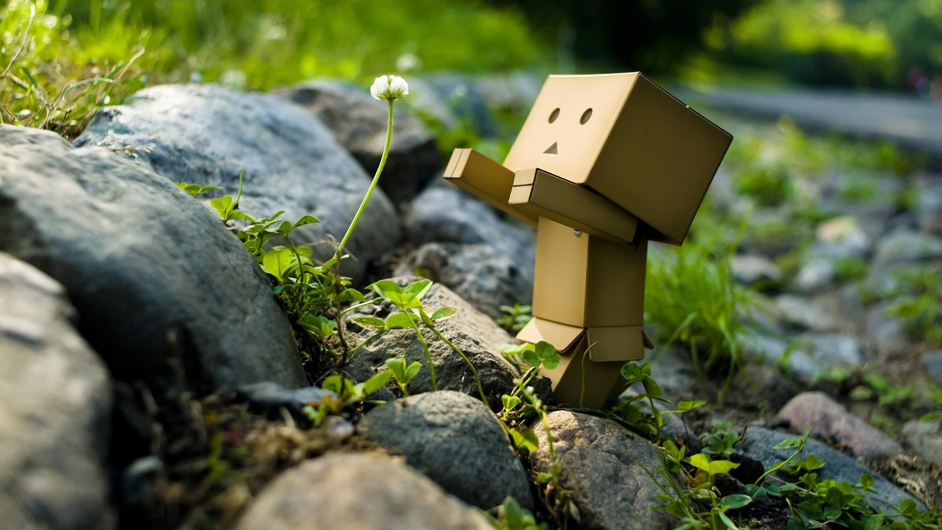 robot-flower-wallpaper-1